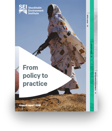 Annual report 2018: From policy to practice