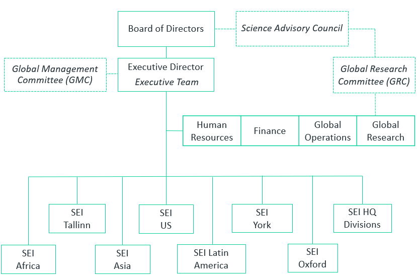 SEI organisation chart